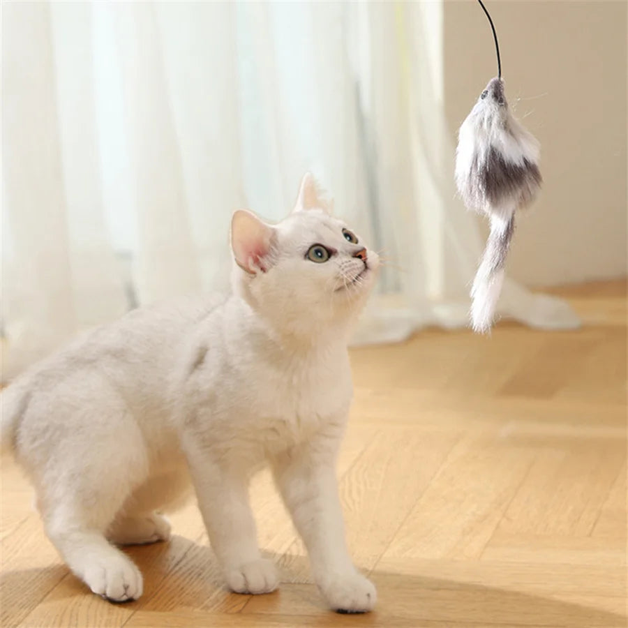 MotionPlay™ Interactive Cat Toy Ball