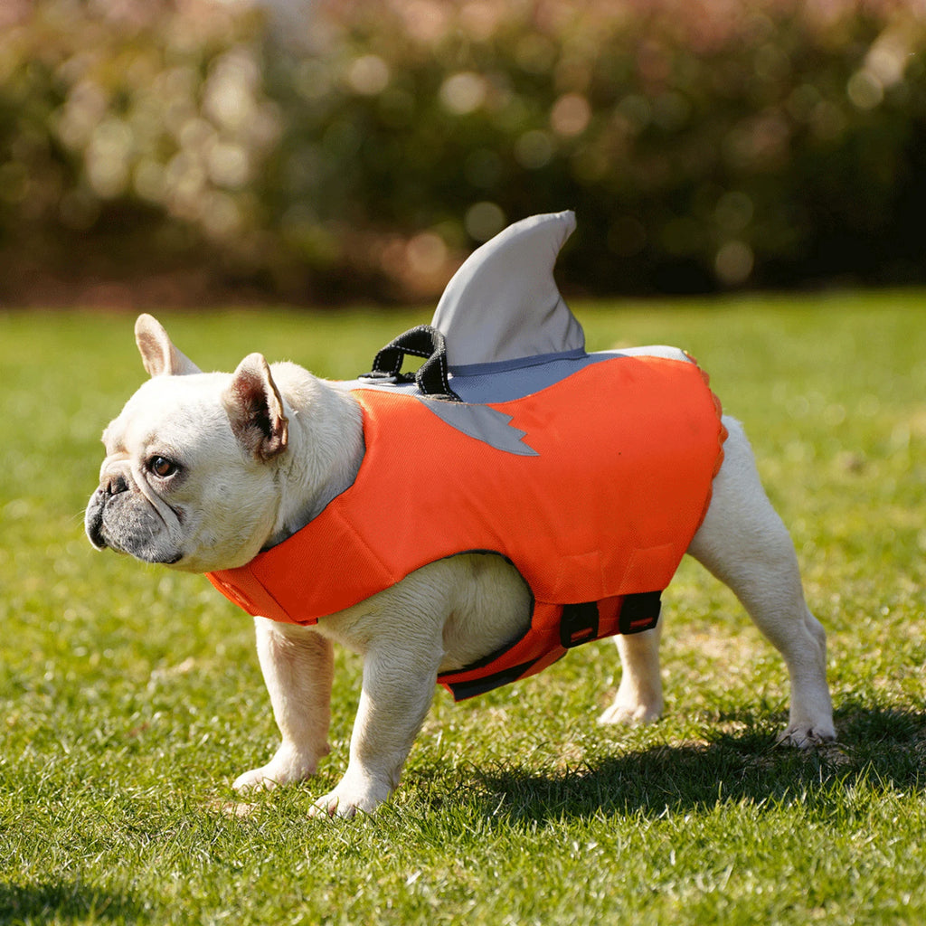 SafeSwim Vest