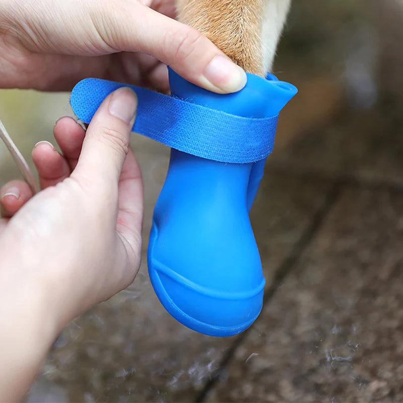 PawGuard Boots