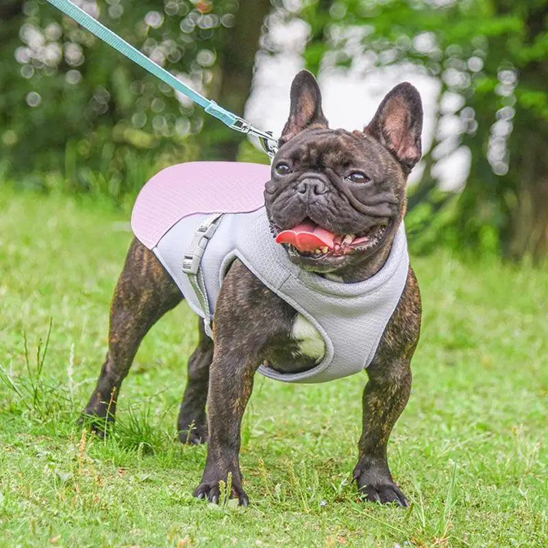 CoolAir Vest