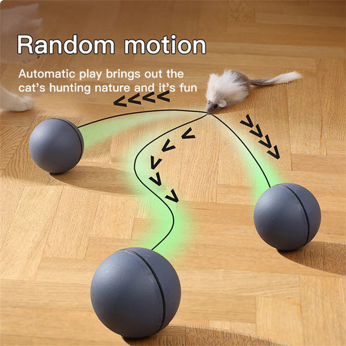 MotionPlay™ Interactive Cat Toy Ball