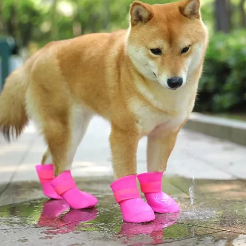 PawGuard Boots