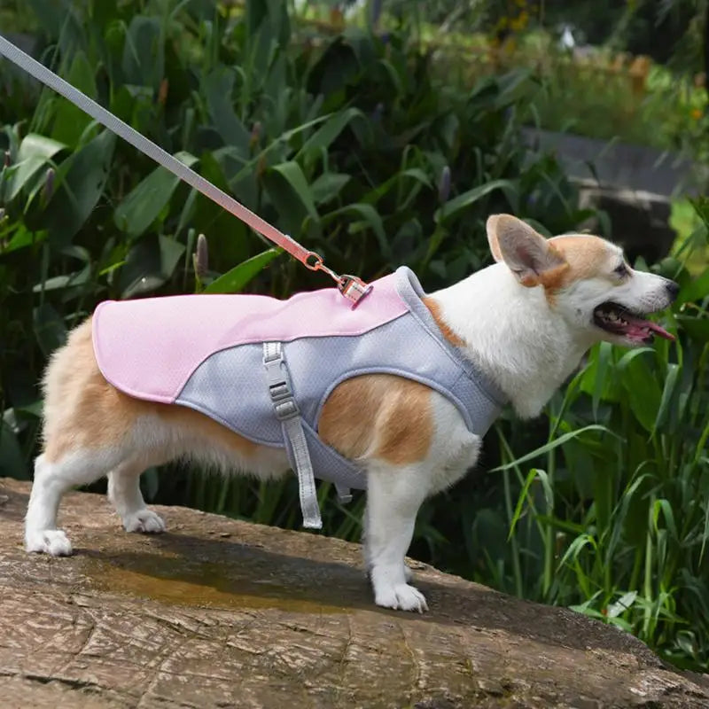 CoolAir Vest
