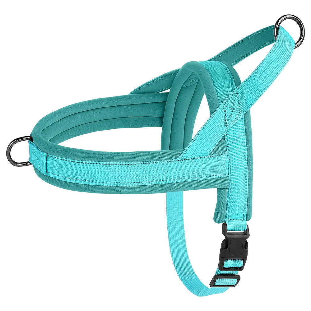 Padded Comfort Harness