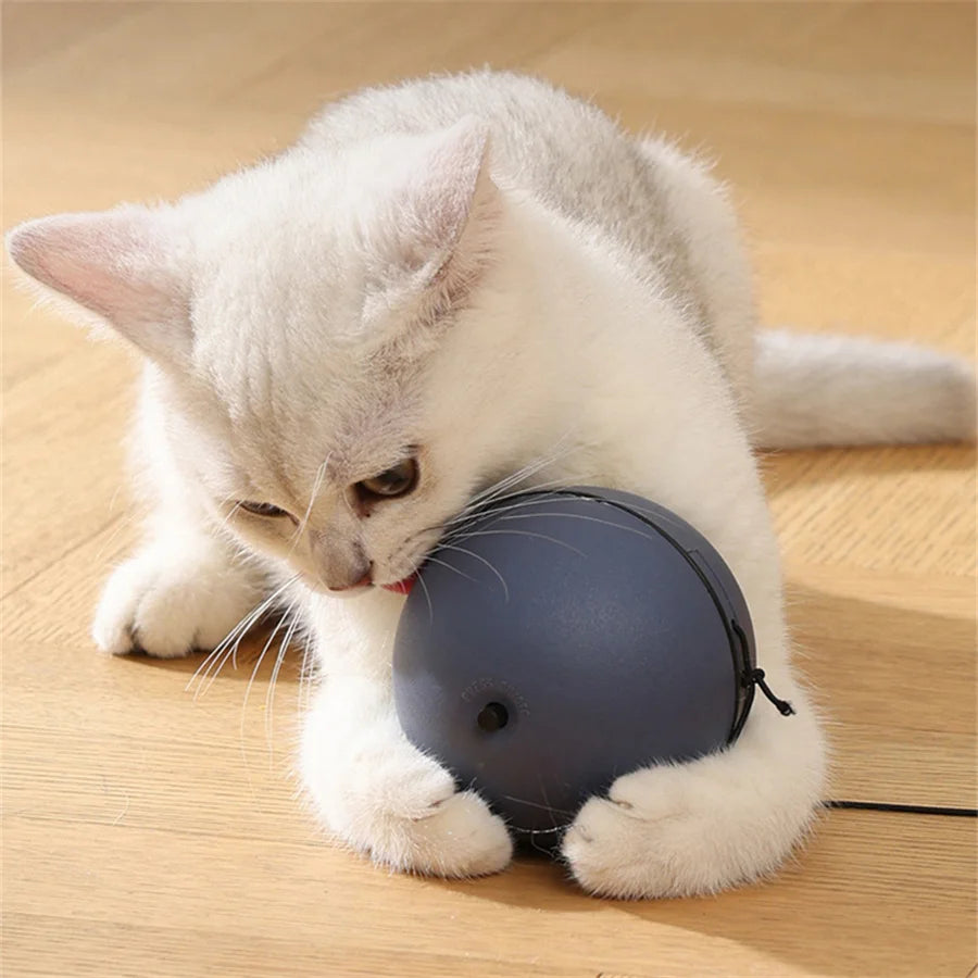 MotionPlay™ Interactive Cat Toy Ball