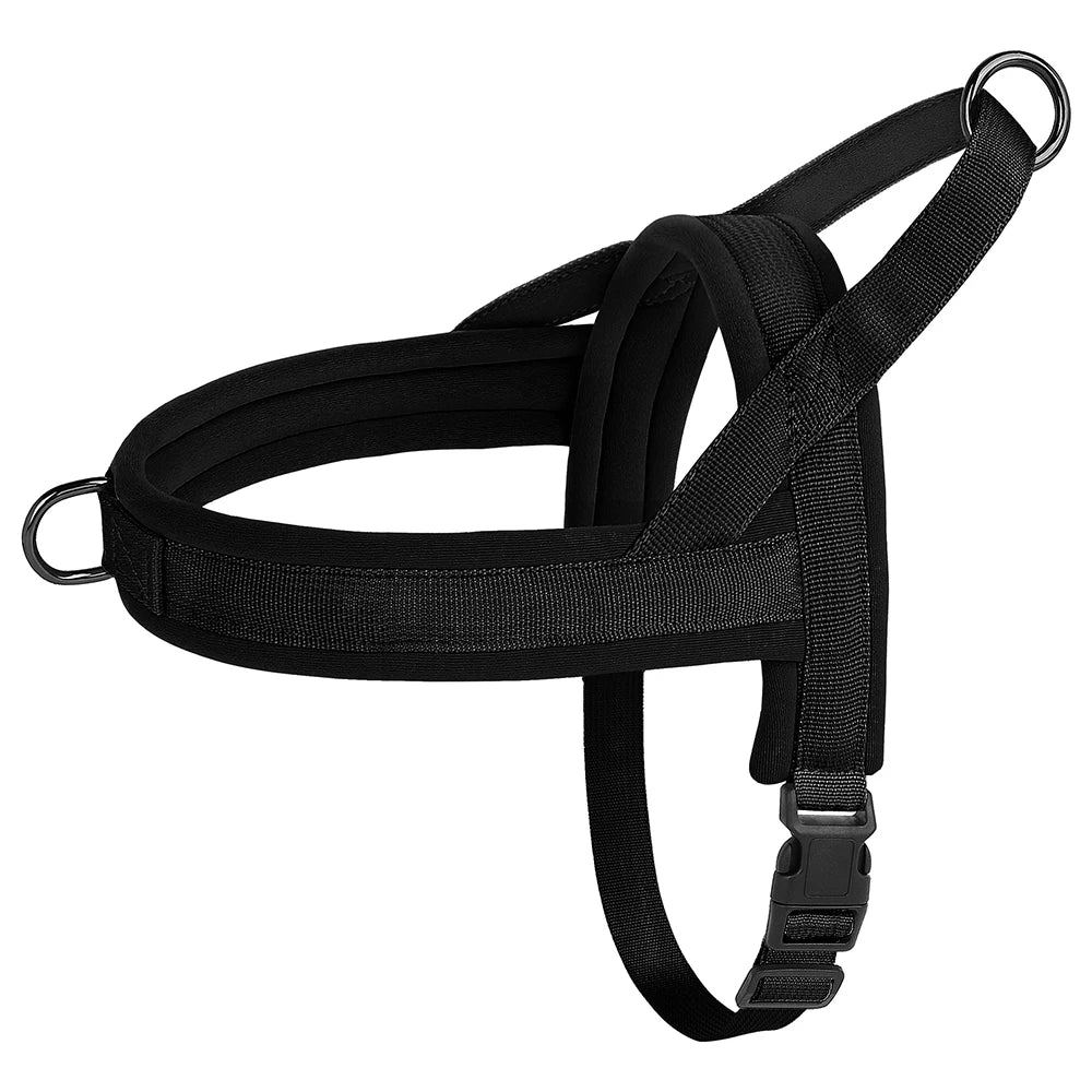 Padded Comfort Harness