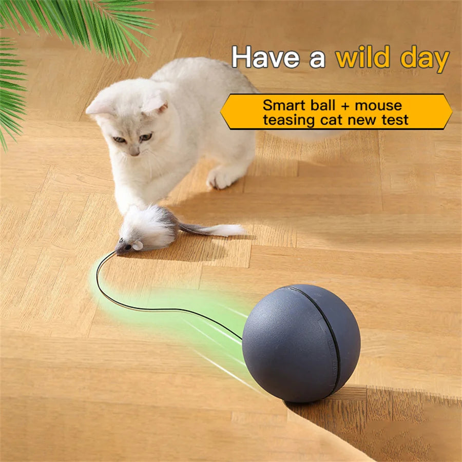MotionPlay™ Interactive Cat Toy Ball