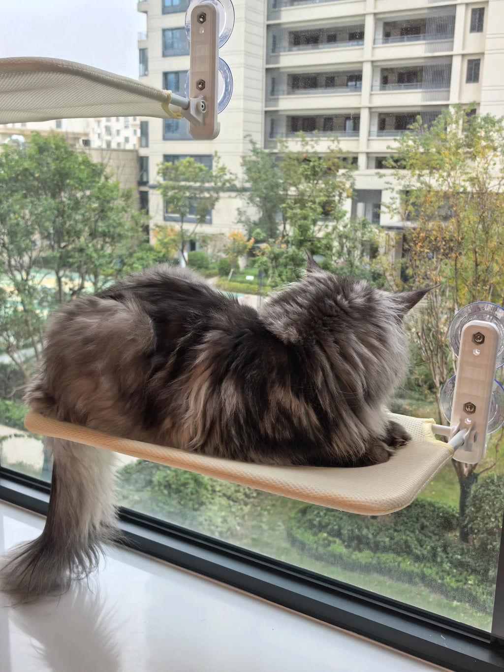 WindowNest™ Foldable Cat Window Hammock