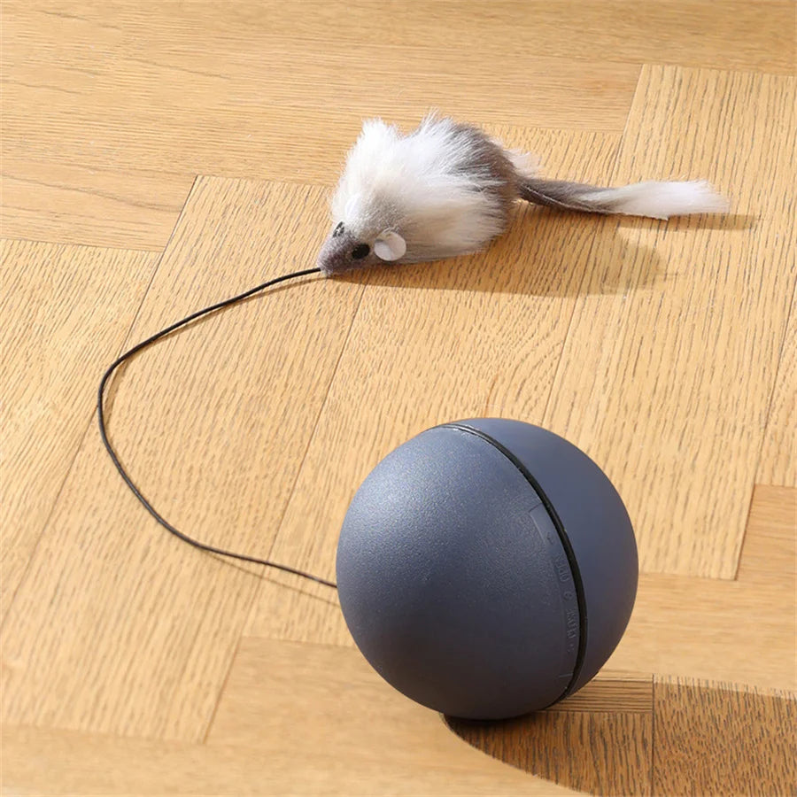 MotionPlay™ Interactive Cat Toy Ball