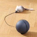 MotionPlay™ Interactive Cat Toy Ball