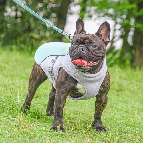 CoolAir Vest