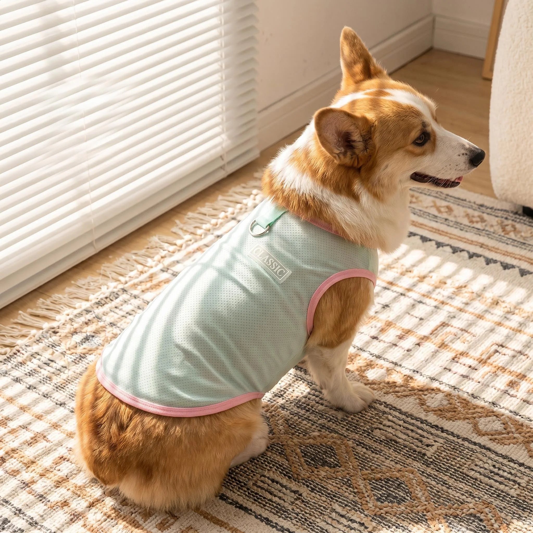 Breezy Cooling Vest