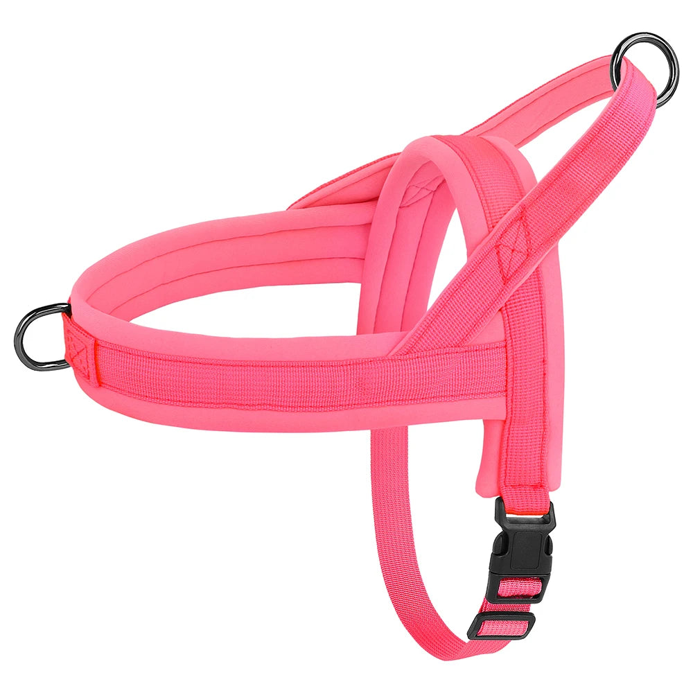 Padded Comfort Harness